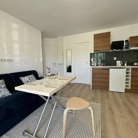 Les Lys Jaunes - 4pers - Reve Au Mans Apartment Le Mans